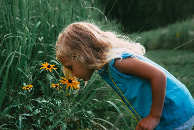Niña oliendo flores en el campo Niña rubia con camiseta azul oliendo flores en el campo