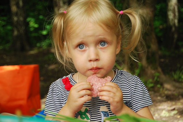 Niña pequeña comiendo en un bosque Niña pequeña con coletas comiendo en un entorno natural