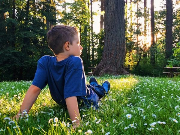 Niño sentado en un bosque rodeado de margaritas
